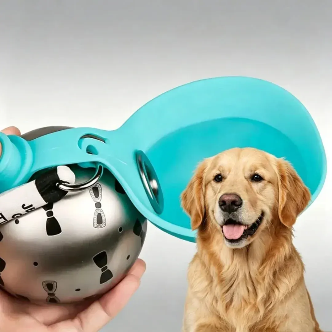 Stainless Steel Pet Water Bottle with Silicone Bowl — Pink